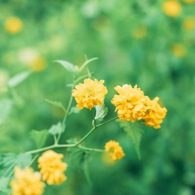 新生活下载手机版安装